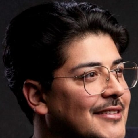 Ramin Hasani